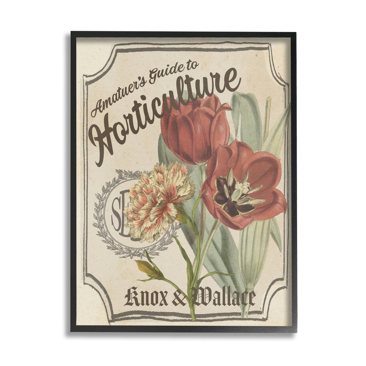 Stupell Industries Antique Seed Packet Red Tulip Horticulture Study Framed Wall Art